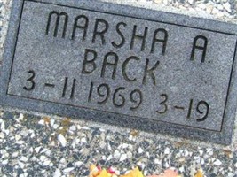 Marsha Alane Back Marsha Alane Back