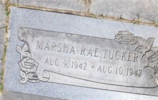 Marsha Rae Tucker Marsha Rae Tucker