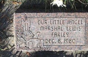 Marshal Lewis Farley