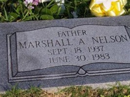 Marshall A Nelson