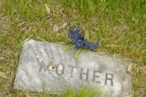 MARTHA A PERKINS HORNE