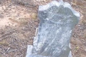 Martha A. Walkup Martha A. Walkup