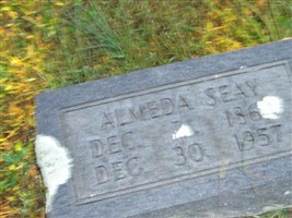 Martha Almeda Roberds Gray Seay