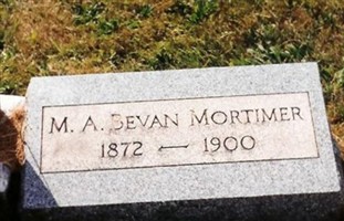 Martha Ann Bevan Mortimer