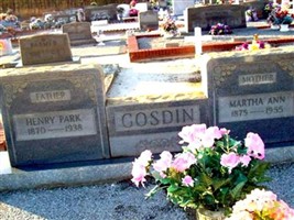 Martha Ann Hester Gosdin Martha Ann Hester Gosdin