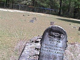 Martha Ann Jones Chesnut
