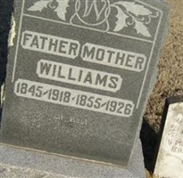Martha Ann Metcalf Williams