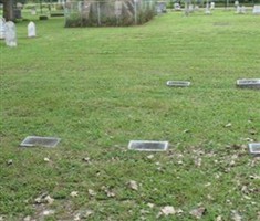 Martha Ann Robinson Hazelton Martha Ann Robinson Hazelton
