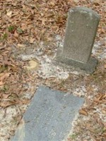 Martha Ann Skeels Martha Ann Skeels