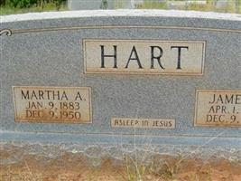Martha Ann Votaw Hart