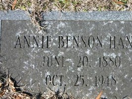 Martha Annie Benson Haney