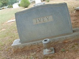 Martha C Ivey