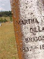 Martha Dillard Briggs