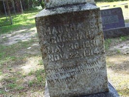 Martha E Cochran Martha E Cochran