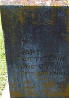 Martha E Wilkerson Patterson