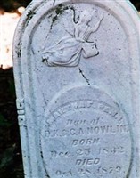 Martha Francis Nowlin Penn