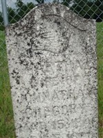 Martha Gregory Martha Gregory