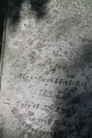 Martha Halsted Martha Halsted