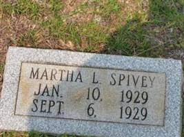 Martha L Spivey Martha L Spivey