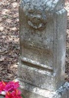 Martha N Hiser