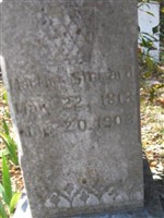 Martha Steward