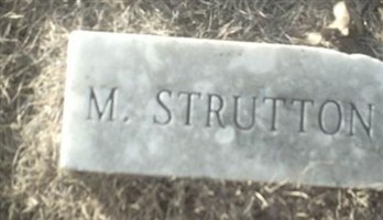 Martha Strutton Martha Strutton