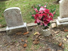 Martha Switzer