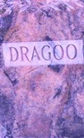 Martha T. Dragoo Martha T. Dragoo