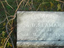 Martha Tripp Seaman