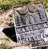 Martha W. Chapin Martha W. Chapin