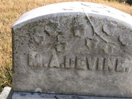 Martin A. Devine Martin A. Devine