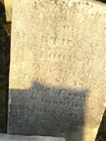 Martin Arne Forest (1856676.jpg) Martin Arne Forest (1856676.jpg)
