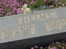 Martin David Nelms