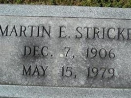 Martin E Stricker