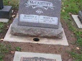Martin J McCarthy Martin J McCarthy