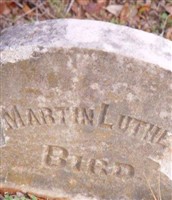 Martin Luther Bird Martin Luther Bird