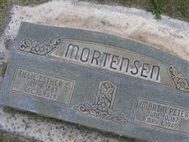 Martin Peter Mortensen