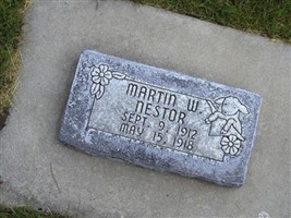 Martin W Nestor