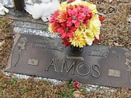 Marva M. Amoss Marva M. Amoss