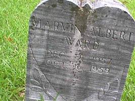Marvin Albert Ward