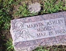 Marvin Ashley Modest