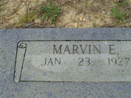 Marvin E Staton (1991929.jpg)