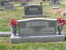 Marvin J. Brown