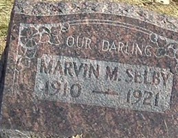 Marvin M Selby