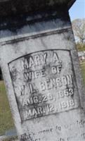 Mary A Benson