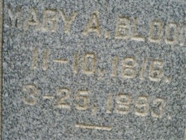 Mary A Bloom