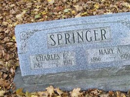 Mary A. Bunn Springer Mary A. Bunn Springer