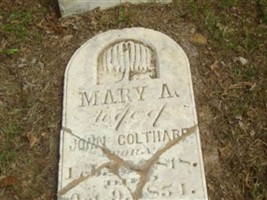 Mary A. Coltharp Mary A. Coltharp