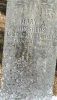 Mary A. Driggers