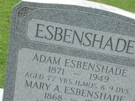 Mary A Esbenshade Mary A Esbenshade